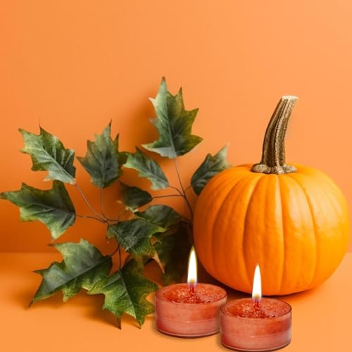 Yankee Candle Spiced Pumpkin Tea Lights - Set of 12