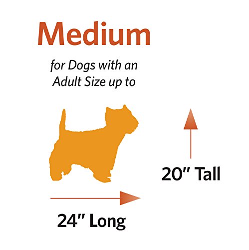 MidWest Homes for Pets Newly Enhanced  Double Door iCrate Dog Crate, Includes Leak-Proof Pan, Floor Protecting Feet, Divider Panel & New Patented Features