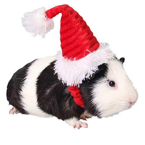 ANIAC Christmas Hamster Hats Guinea Pig Costume Mini Santa Hat for Kitten Chinchilla Rabbit Bunny Hedgehog Ferret Squirrel Rats Duck Newborn Puppy