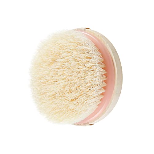 EcoTools Dry Body Brush, For Post Shower & Bath Skincare Routine, Removes Dirt & Promotes Blood Circulation, Helps Reduce Appearance of Cellulite, Eco-Friendly, Vegan & Cruelty-Free, 1 Count