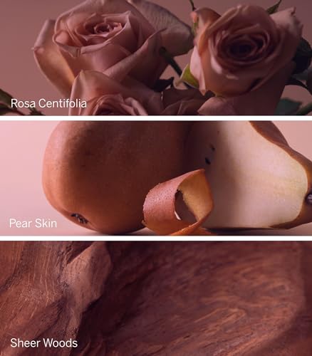 Victoria's Secret Bare Rose Fine Fragrance Lotion