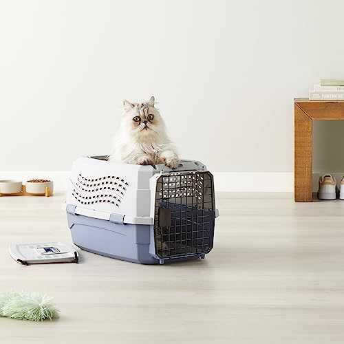 Amazon Basics - 2-Door Top-Load Hard-Sided Dogs, Cats Pet Travel Carrier, 23-Inch, Gray & Blue