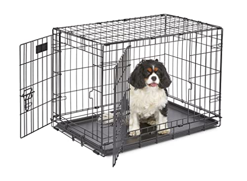 MidWest Homes for Pets Newly Enhanced  Double Door iCrate Dog Crate, Includes Leak-Proof Pan, Floor Protecting Feet, Divider Panel & New Patented Features