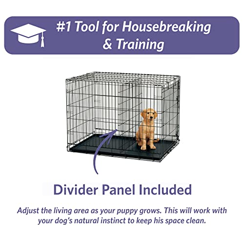 MidWest Homes for Pets Newly Enhanced Single Door iCrate Dog Crate, Includes Leak-Proof Pan, Floor Protecting Feet , Divider Panel & New Patented Features