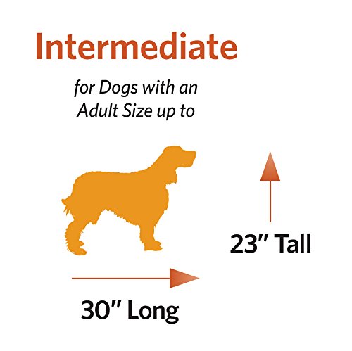 MidWest Homes for Pets Newly Enhanced Single Door iCrate Dog Crate, Includes Leak-Proof Pan, Floor Protecting Feet , Divider Panel & New Patented Features