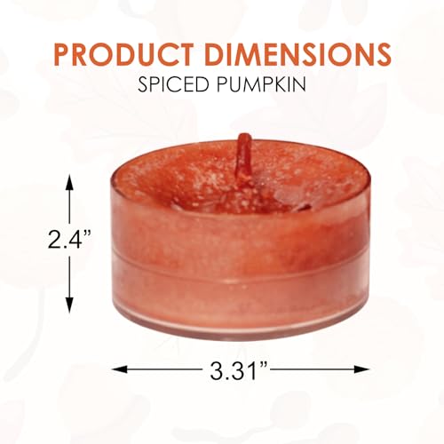 Yankee Candle Spiced Pumpkin Tea Lights - Set of 12