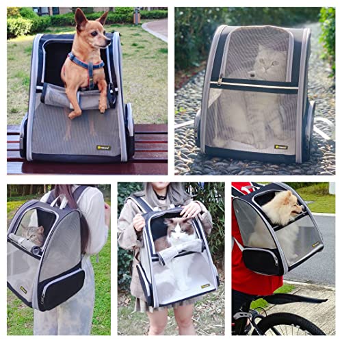 Texsens Innovative Traveler Bubble Backpack Pet Carriers for Cats and Dogs (Black)