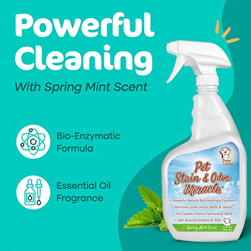 Sunny & Honey Pet Stain & Odor Miracle - Enzyme Cleaner for Dog Urine Cat Pee Feces Vomit, Enzymatic Solution Cleans Carpet Rug Car Upholstery Couch Mattress Furniture, Stain Eliminator (32FL OZ)