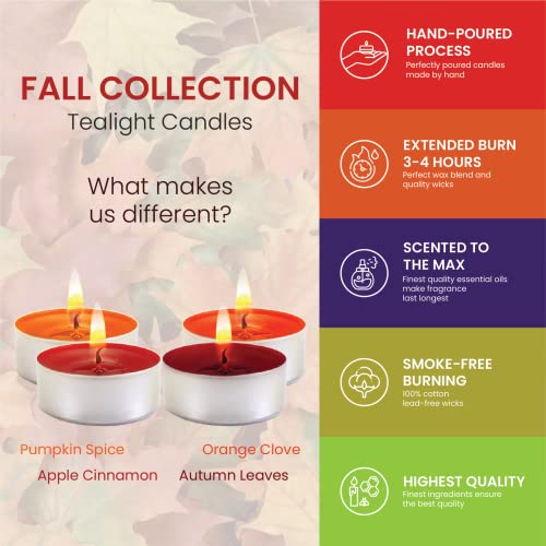 Fall Candles Scented Tea Lights Candles Gift Set - 64 pcs -Fall Tealight Candles with 4 Autumn Fragrances -Pumpkin Spice with Nutmeg, Apple Cinnamon, Orange Clove and Autumn Leaves-Votive Candles Bulk