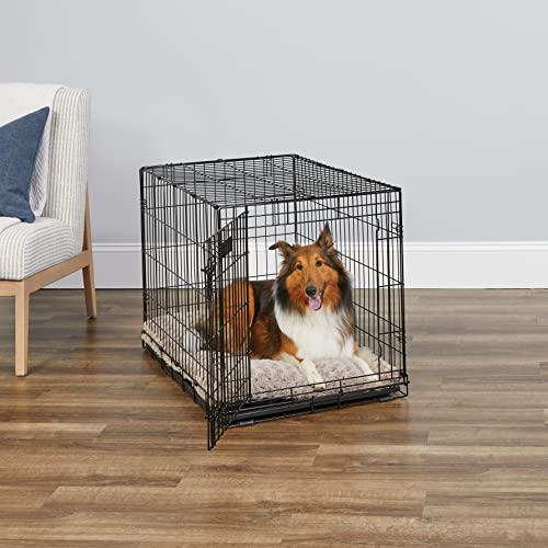 MidWest Homes for Pets Newly Enhanced Single Door iCrate Dog Crate, Includes Leak-Proof Pan, Floor Protecting Feet , Divider Panel & New Patented Features