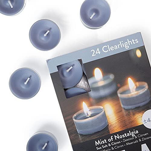 SPAAS Scented Tea Lights Candles in Clear Cups - Sea Salt & Citrus Fragrance | Premium Long Burning Scented Tealight Candles for Spa, Romantic Décor, Meditation, Dinner, and Home Décor | Pack of 24