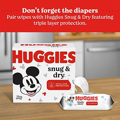 Huggies Simply Clean Fragrance-Free Baby Wipes, 64 Count (Pack of 11) (704 Wipes Total) - Better Savings Group