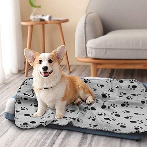 Comsmart Warm Paw Print Blanket/Bed Cover for Dogs and Cats, 6 Pack of 24x28 Inches