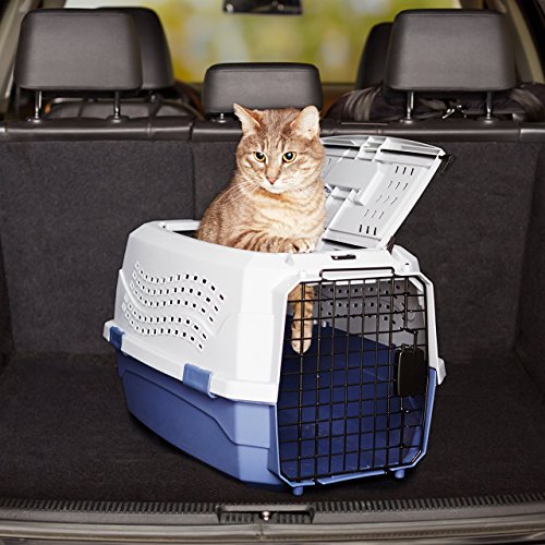 Amazon Basics - 2-Door Top-Load Hard-Sided Dogs, Cats Pet Travel Carrier, 23-Inch, Gray & Blue