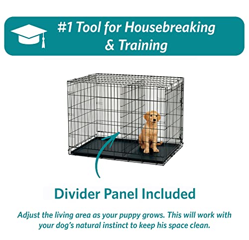 MidWest Homes for Pets Newly Enhanced  Double Door iCrate Dog Crate, Includes Leak-Proof Pan, Floor Protecting Feet, Divider Panel & New Patented Features