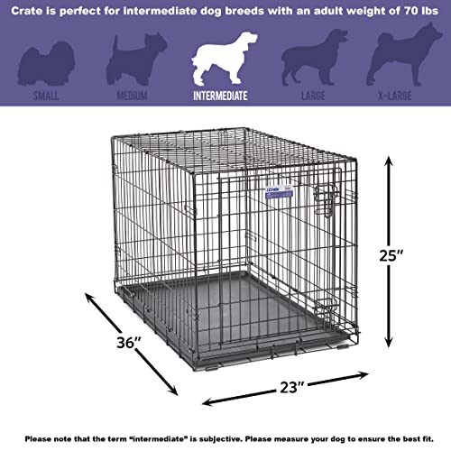 MidWest Homes for Pets Newly Enhanced Single Door iCrate Dog Crate, Includes Leak-Proof Pan, Floor Protecting Feet , Divider Panel & New Patented Features