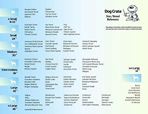 MidWest Homes for Pets Newly Enhanced  Double Door iCrate Dog Crate, Includes Leak-Proof Pan, Floor Protecting Feet, Divider Panel & New Patented Features