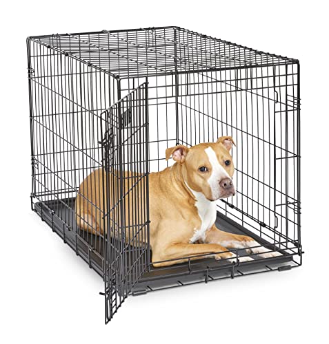 MidWest Homes for Pets Newly Enhanced Single Door iCrate Dog Crate, Includes Leak-Proof Pan, Floor Protecting Feet , Divider Panel & New Patented Features