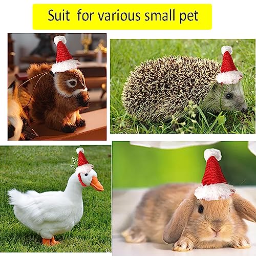 ANIAC Christmas Hamster Hats Guinea Pig Costume Mini Santa Hat for Kitten Chinchilla Rabbit Bunny Hedgehog Ferret Squirrel Rats Duck Newborn Puppy